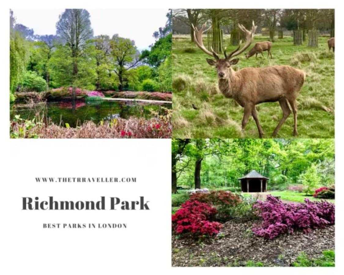 Guest house Charming Double Near Richmond Park Kingston Gate Kingston upon Thames (Greater London)